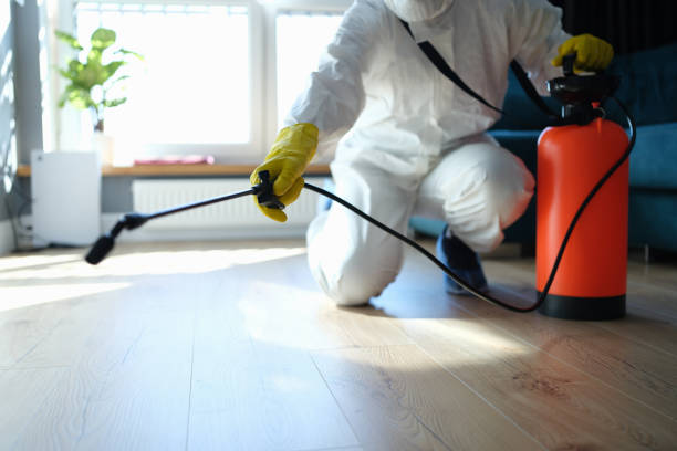 Reliable Odor Removal contractor in Evergreen, CO by Trauma Clean Pros